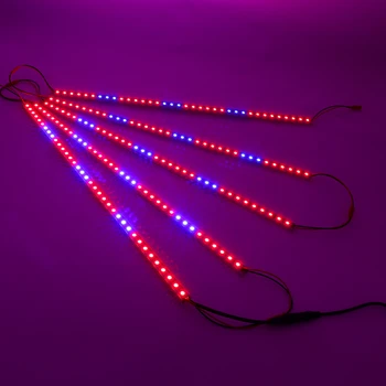 5 ks/veľa LED Rast Rastlín Svetlá Rastie Lampa 0,5 M Červená+Modrá DC12V 10w Phytolamp Sadeníc Svetlo Bary Pásy pre Vnútorné Hydroponics
