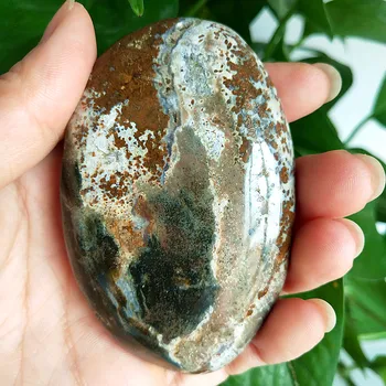 Prírodný kameň Morských jaspis palm liečivé kryštály Dekoratívne zber kamene a kryštály
