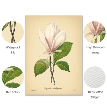 Vintage Kvet Botanická Plagáty a Vytlačí Rose Ilustrácia Wall Art Plátno na Maľovanie Dekoratívny Obraz Moderné Domáce Dekorácie