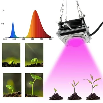 Rast Svetlo celé Spektrum 380-800 nm Rast Rastie Lampa s Závesné Lano pre Vnútorné Hydroponických Rastlín, Zeleniny a kvetov