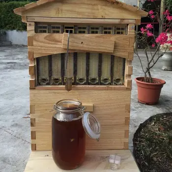 Drevené Bee Box Automatické Dom Bee Drevené Okno s 7pcs Rámy Med Zber Včelárskych Zariadení Včelár Nástroj Dodávky