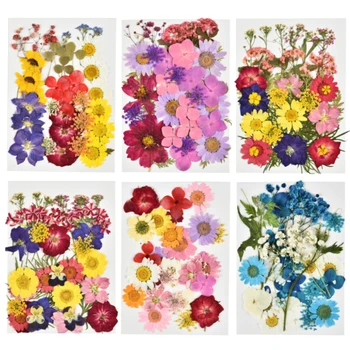 Sušené Kvety DIY Lisované Kvety, Suché a Konzervované Kvet Epoxidové Živice Prívesok Šperky Robiť Plavidlá Telefón Prípade Dekorácie