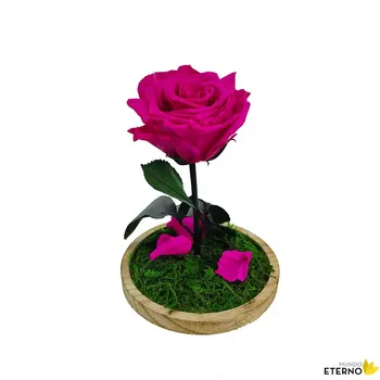 Dóm Kráska a Zviera Večný Rose konzervované fuchsia