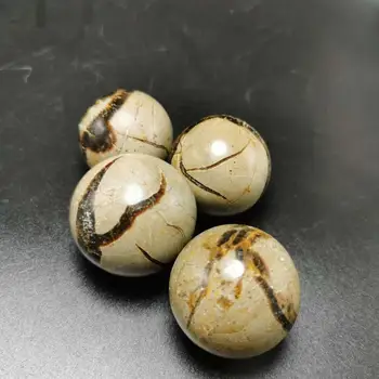 30-40 mm Prírodné septarium kamenné gule vzorky minerálnych kameňov loptu