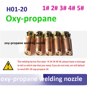 Oxy-propán zváracie trysky 5 ks/veľa H01-20 zváranie tip pre H01-20 zvárací horák