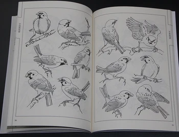 94pages Čína 100 Vták Žeriav Xianmiao Baimiao Line Kreslenie, Maľovanie Umenia Knihy