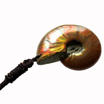 Skutočný Prírodný Kameň Ammonite Prívesok Fosílnych Morských Minerálov a vzoriek Zadarmo Náhrdelník Fengshui Reiki Liečenie Energiou Mužov Darček