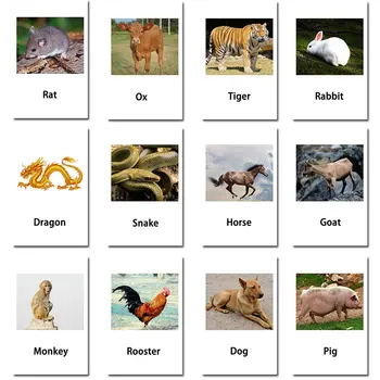 Montessori Gestá Anglický Zvierat Karte Flash Kariet Vzdelávania, Vzdelávacie Hračky Anglického Slova Obrázok Zápas Hry, Baby Darček