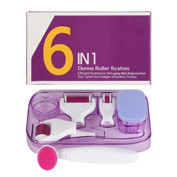 6 v 1 Derma Roller Kit Titán Dermaroller Micro Ihly Tváre, Brady Rast Starostlivosti o Pleť, Anti-Aging Ošetrenie Tela Microneedle
