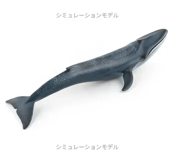27 CM Oceán, More Simulácia Života Zvierat Model VEĽRYBA Modrá Veľryba Akcie Hračky Údaje Deti Vzdelávací Model Kolekcie Xmas Gift