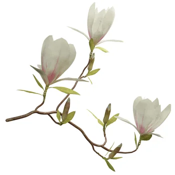 Magnolia esenciálny olej AKARZ značky prírodných Oiliness Kozmetika Sviečka Mydlo Vône, Takže DIY odorant suroviny Magnolia olej
