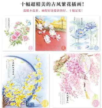 Čínsky Sfarbenie ceruzky, knihy pre dospelých Studios Čínsky kvet maľovanie učebnice pre starter študentov podľa Feile Vták