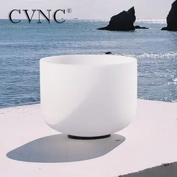 CVNC 10