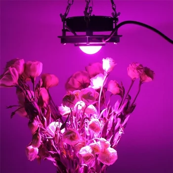 Rast Svetlo celé Spektrum 380-800 nm Rast Rastie Lampa s Závesné Lano pre Vnútorné Hydroponických Rastlín, Zeleniny a kvetov