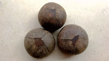 Kokosový Misy nastaviť Smoothie Šalát Dezert Obchod Kontajner Prirodzene Spracované a Hladké Kokosové Škrupiny drevené misy Pláži smoothie