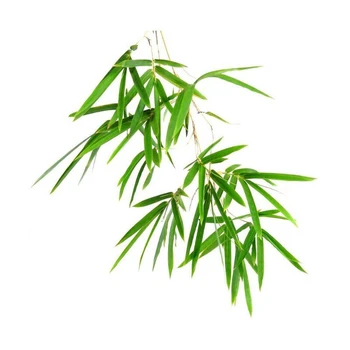 Bambusovými silicami AKARZ značky prírodných Oiliness Kozmetika Sviečka Mydlo Vône, Takže DIY odorant suroviny olej, Bambusové