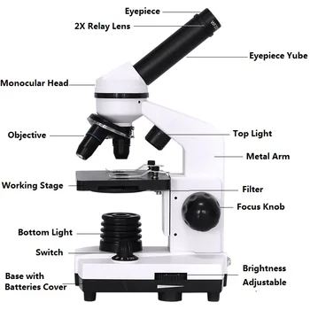 40X-1600X Profesionálne Biologický Mikroskop Zložené LED Monokulárne Študent Mikroskopom Biologický Prieskum Smartphone Adaptér