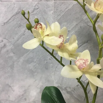 1pcs skutočný dotyk latex umelé orchidea Juhovýchodnej Ázie orchidee dendrobium kvalitný umelý kvet č váza