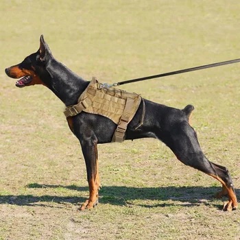 Pes Vesta Outdoor, Lov Molle 1000D Nylon ktorý je odolný voči Vode Vojenskej Taktickej Prípravy Nastaviteľné Psa na Postroj S Rukoväťou