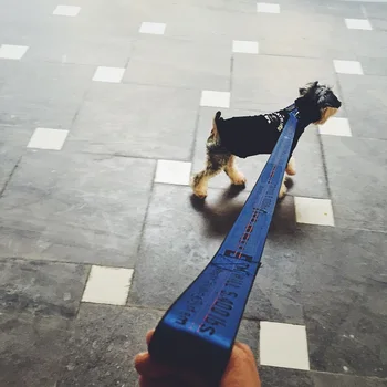 Pes Na Vodítku Nylonové Lano 1.6 M Fashion Psa Na Vodítku Pet Viesť Šteňa Stredne Veľké Psy Bezpečnosť, Ochranu Psa Dodávky