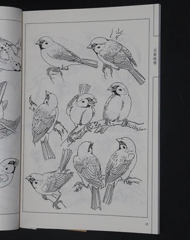 94pages Čína 100 Vták Žeriav Xianmiao Baimiao Line Kreslenie, Maľovanie Umenia Knihy