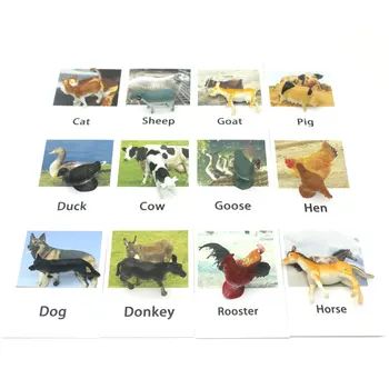 Montessori Gestá Anglický Zvierat Karte Flash Kariet Vzdelávania, Vzdelávacie Hračky Anglického Slova Obrázok Zápas Hry, Baby Darček